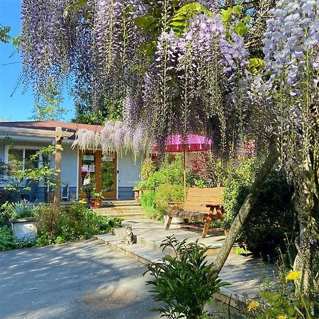Wisteria Guest House Ganges Εξωτερικό φωτογραφία