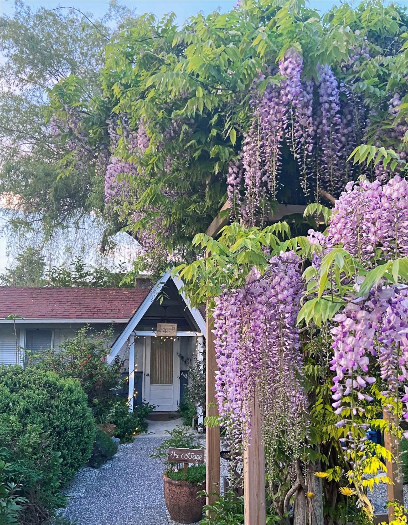 Wisteria Guest House Ganges Εξωτερικό φωτογραφία